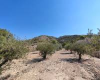 Revente - Villa - Fortuna