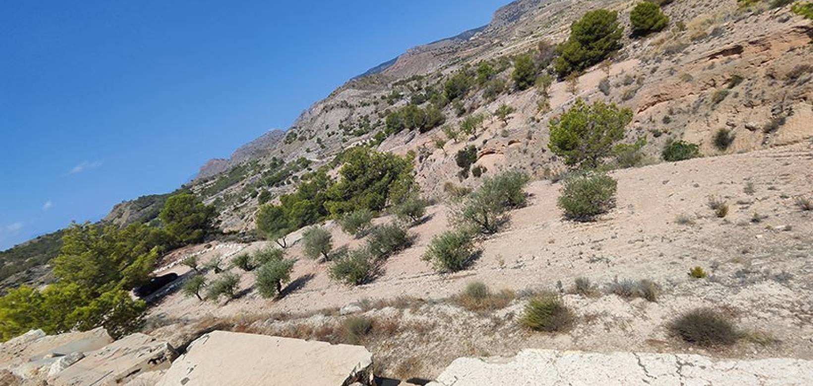 Revente - Villa - Fortuna