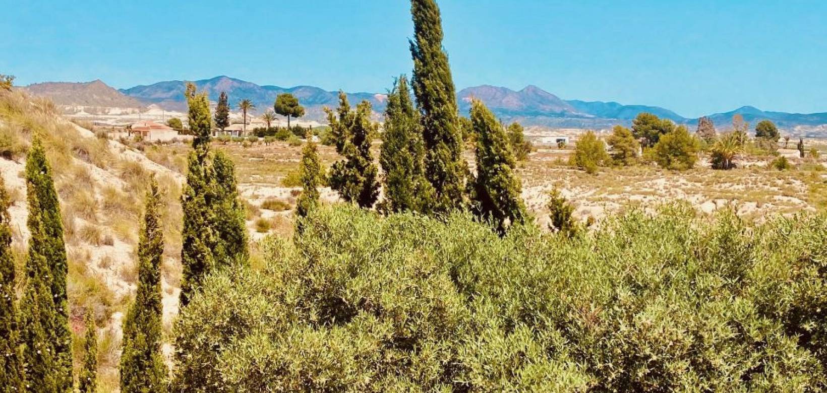 Revente - Villa - Fortuna