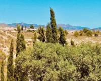 Revente - Villa - Fortuna