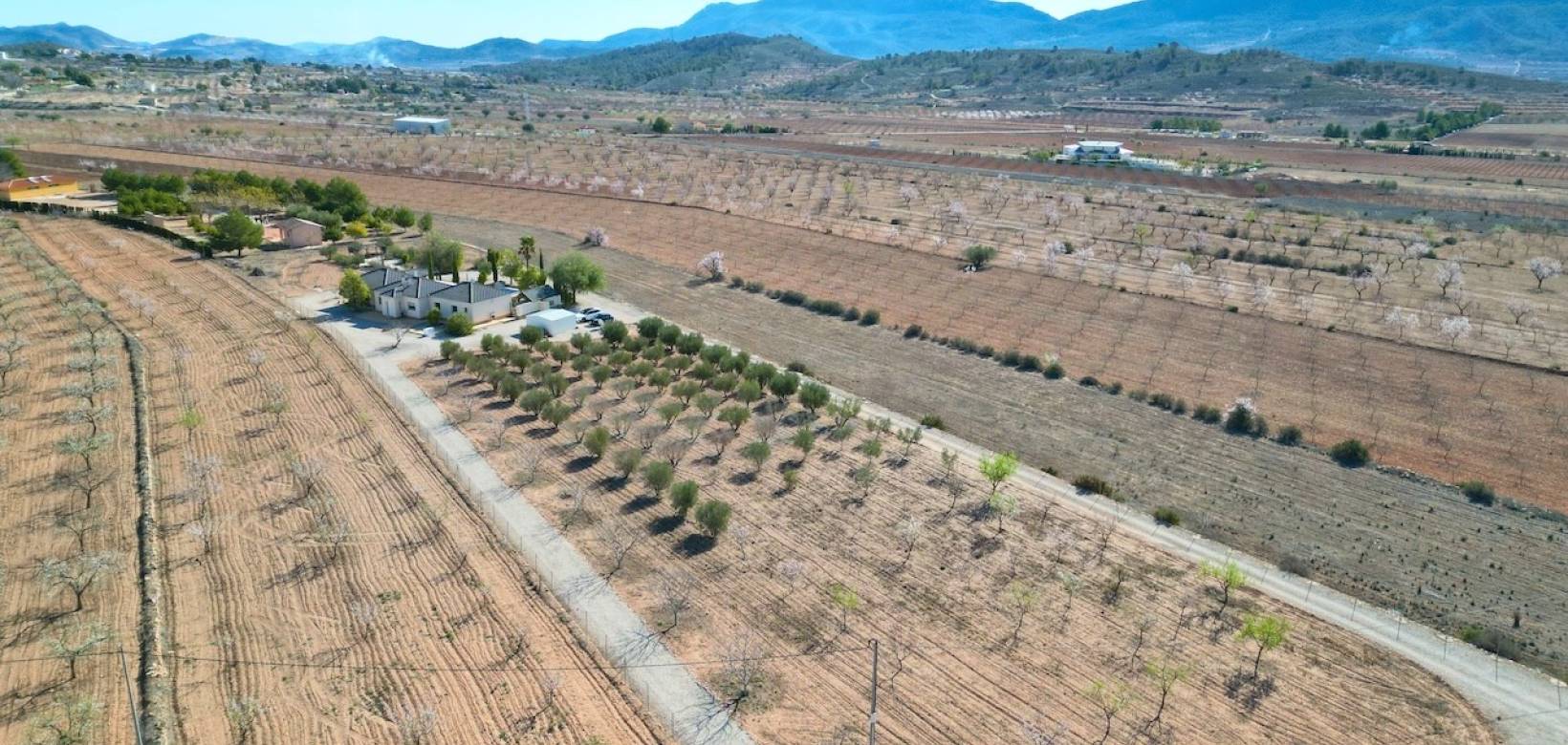 Revente - Villa - Hondón de las Nieves - La Canalosa