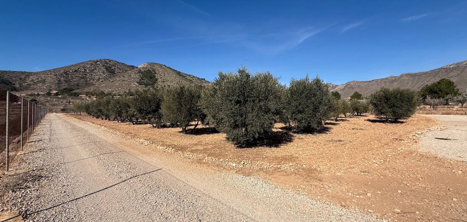 Revente - Villa - Hondón de las Nieves - La Canalosa