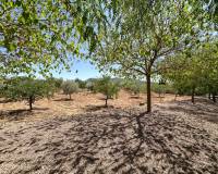 Revente - Villa - Hondón de las Nieves