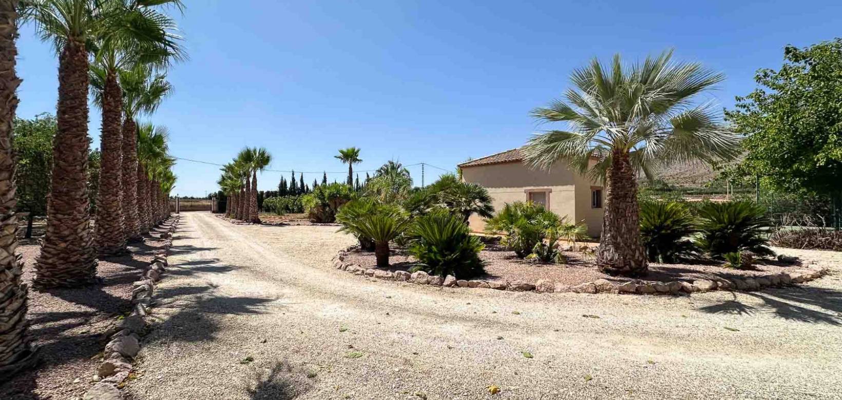 Revente - Villa - Hondón de las Nieves