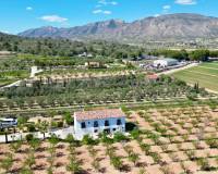 Revente - Villa - Hondón de las Nieves