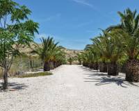 Revente - Villa - Hondón de las Nieves