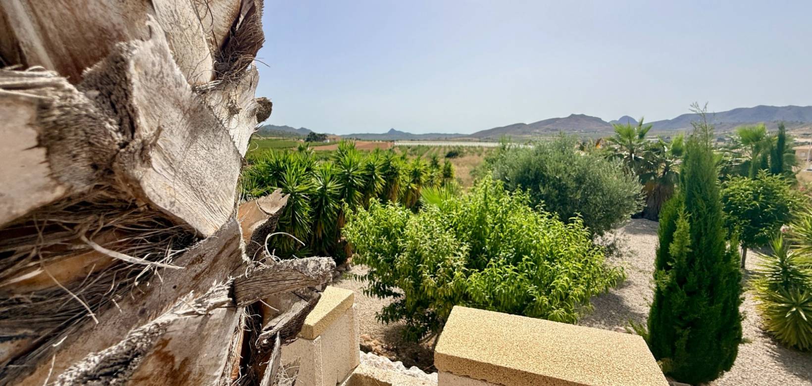 Revente - Villa - Hondón de las Nieves