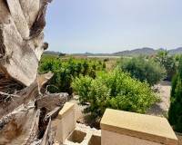 Revente - Villa - Hondón de las Nieves