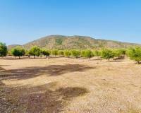 Revente - Villa - Hondón de las Nieves