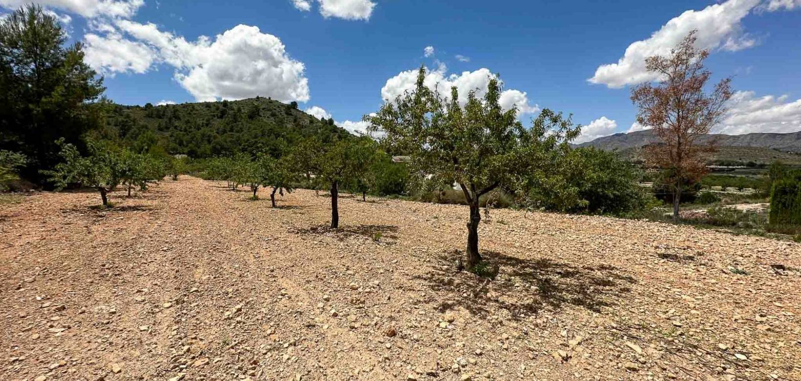 Revente - Villa - Hondón de las Nieves