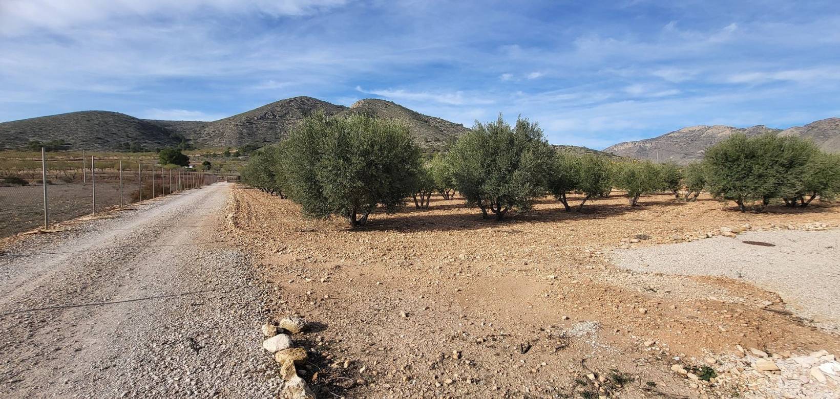 Revente - Villa - Hondón de las Nieves