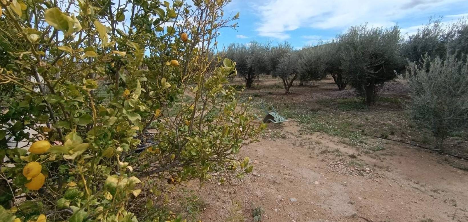 Revente - Villa - Hondón de las Nieves