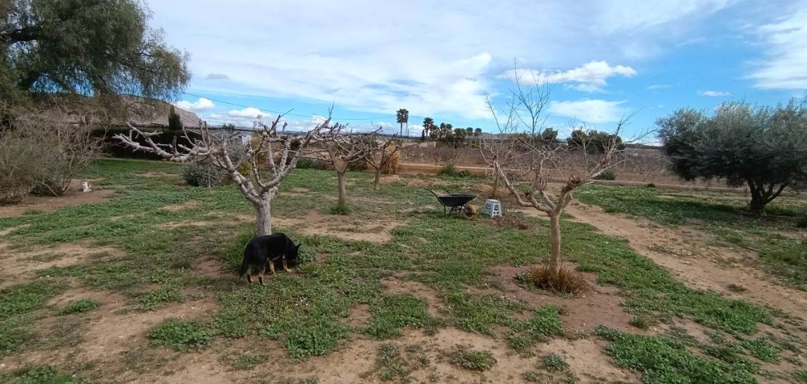 Revente - Villa - Hondón de las Nieves