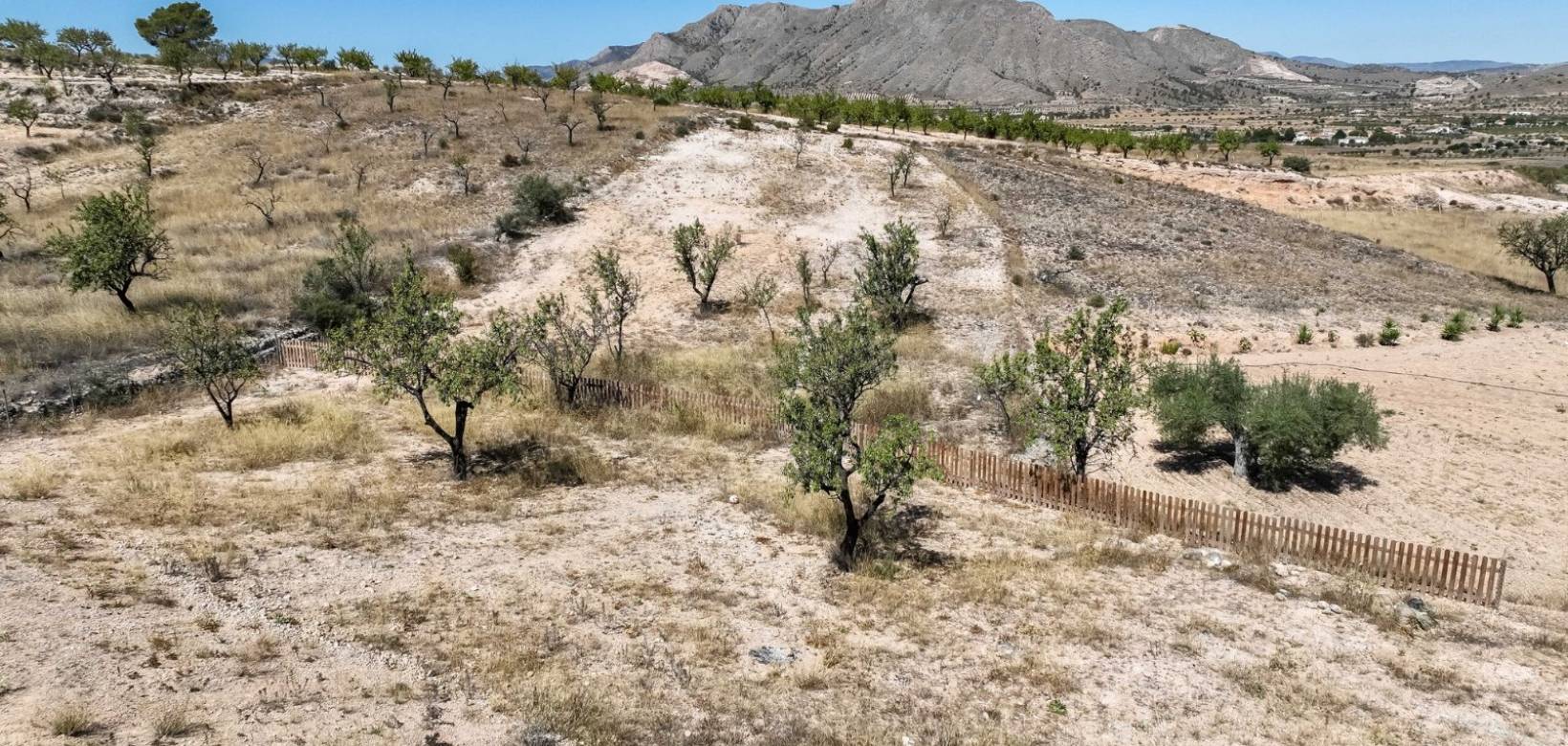 Revente - Villa - Hondón de los Frailes - Hondon De Los Frailes