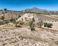 Revente - Villa - Hondón de los Frailes - Hondon De Los Frailes