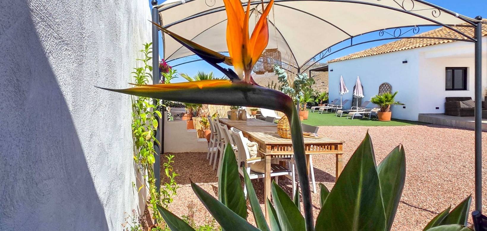 Revente - Villa - Hondón de los Frailes - Hondon De Los Frailes