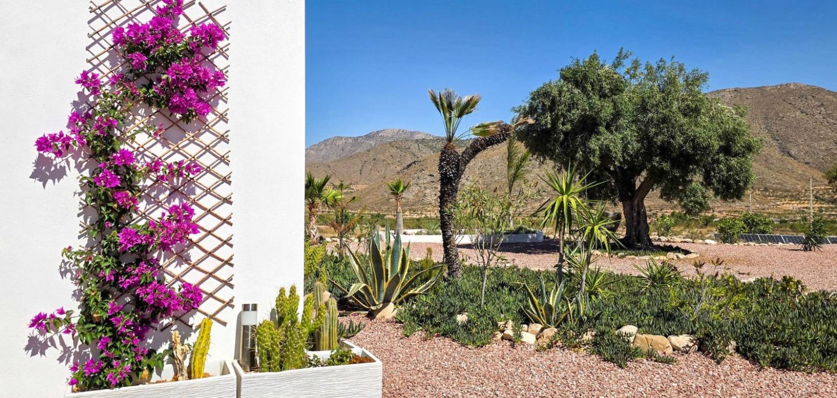 Revente - Villa - Hondón de los Frailes - Hondon De Los Frailes