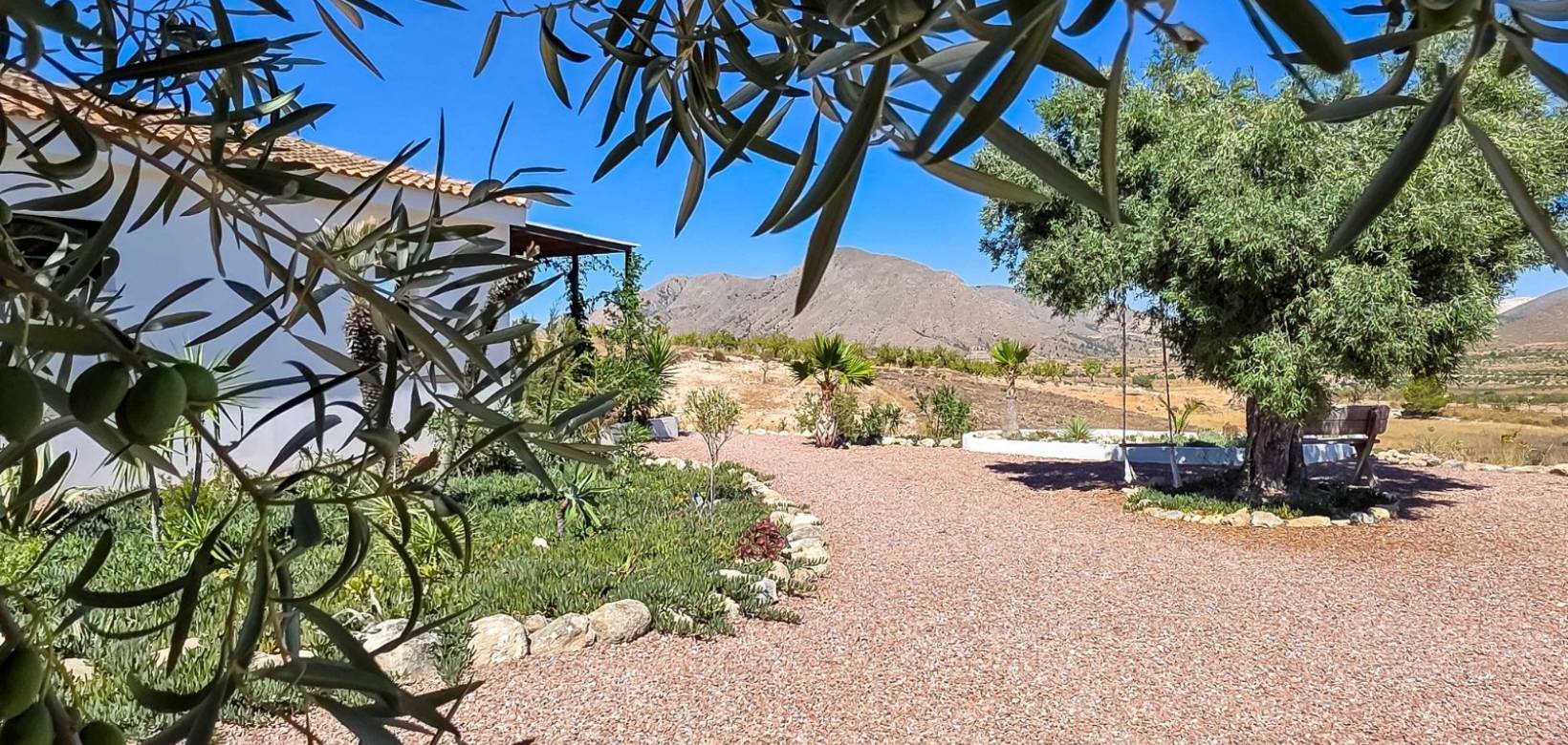 Revente - Villa - Hondón de los Frailes - Hondon De Los Frailes