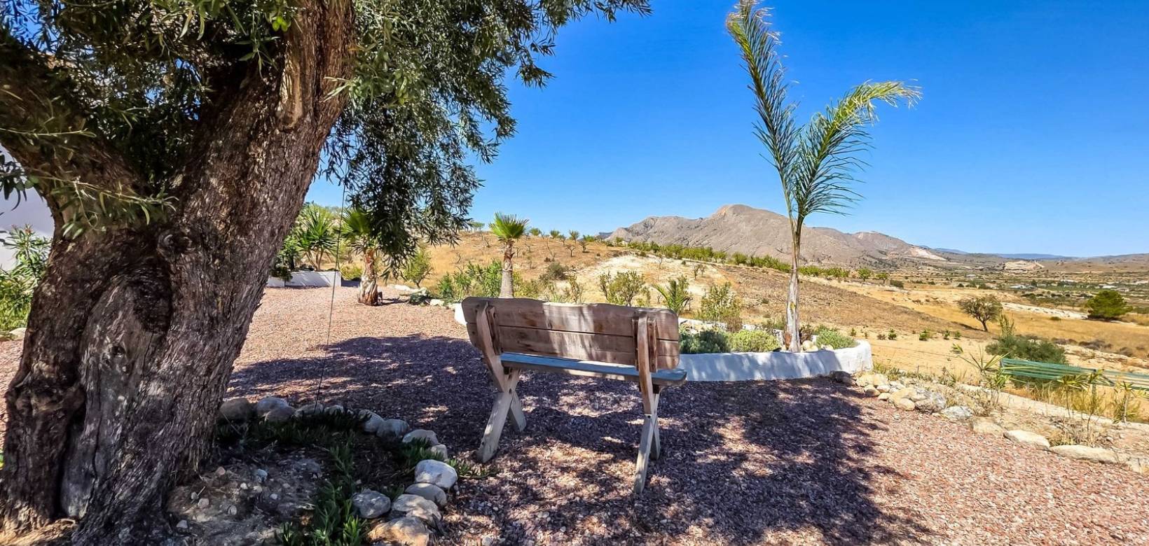 Revente - Villa - Hondón de los Frailes - Hondon De Los Frailes