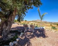 Revente - Villa - Hondón de los Frailes - Hondon De Los Frailes