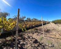 Revente - Villa - Hondón de los Frailes