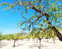 Revente - Villa - Hondón de los Frailes