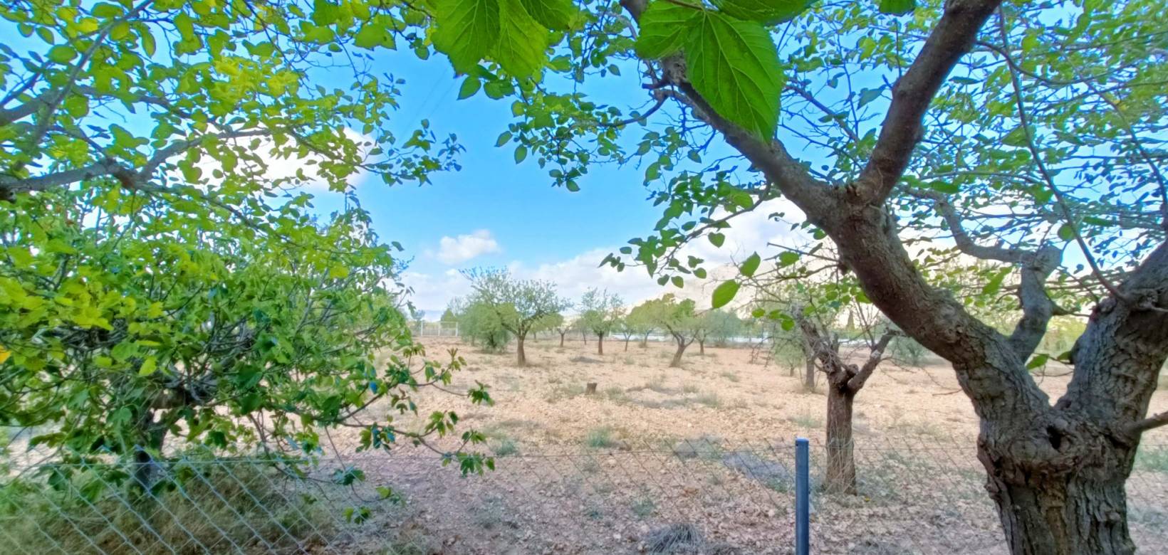 Revente - Villa - Hondón de los Frailes