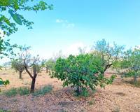 Revente - Villa - Hondón de los Frailes