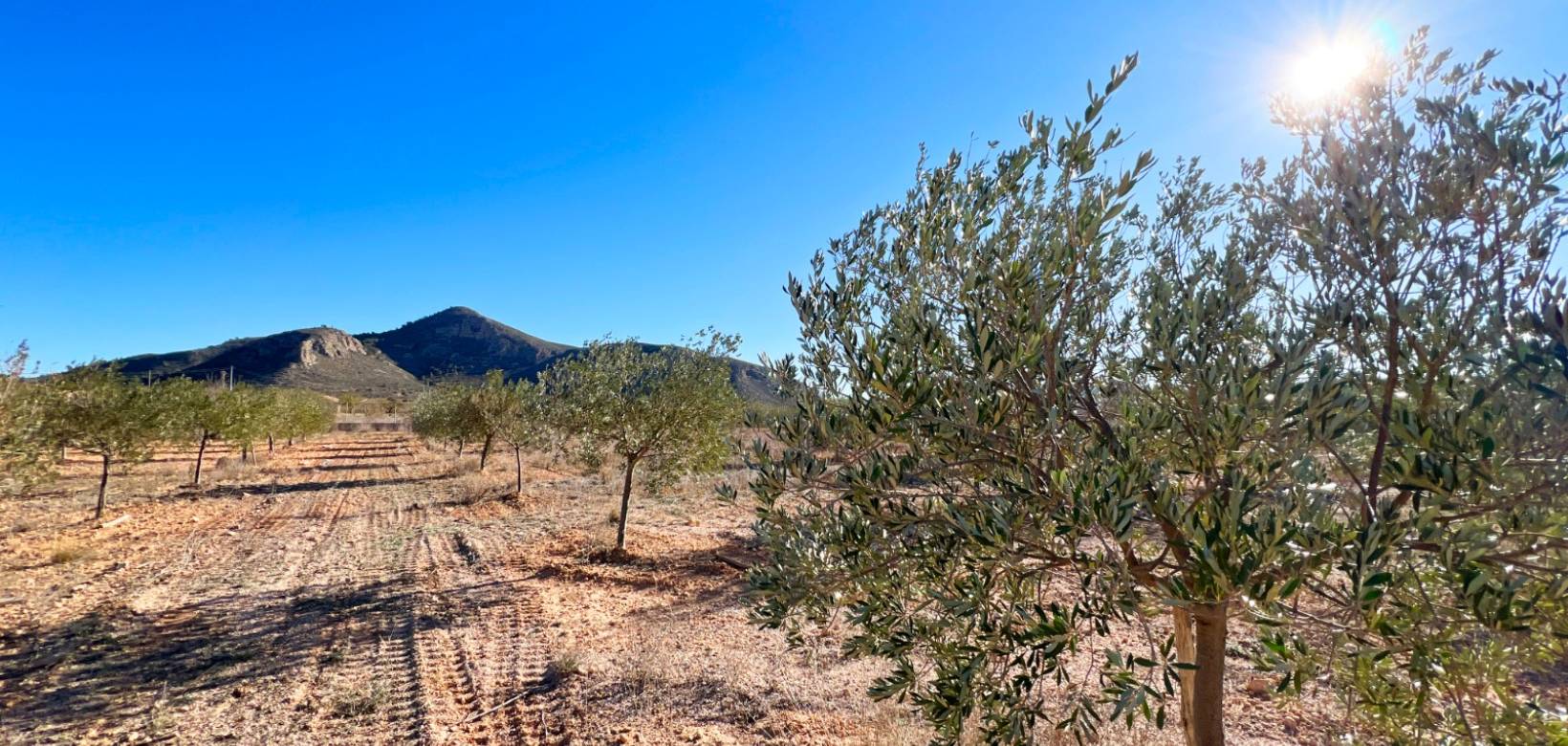 Revente - Villa - Hondón de los Frailes