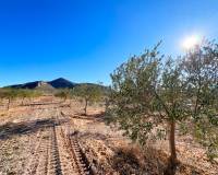 Revente - Villa - Hondón de los Frailes