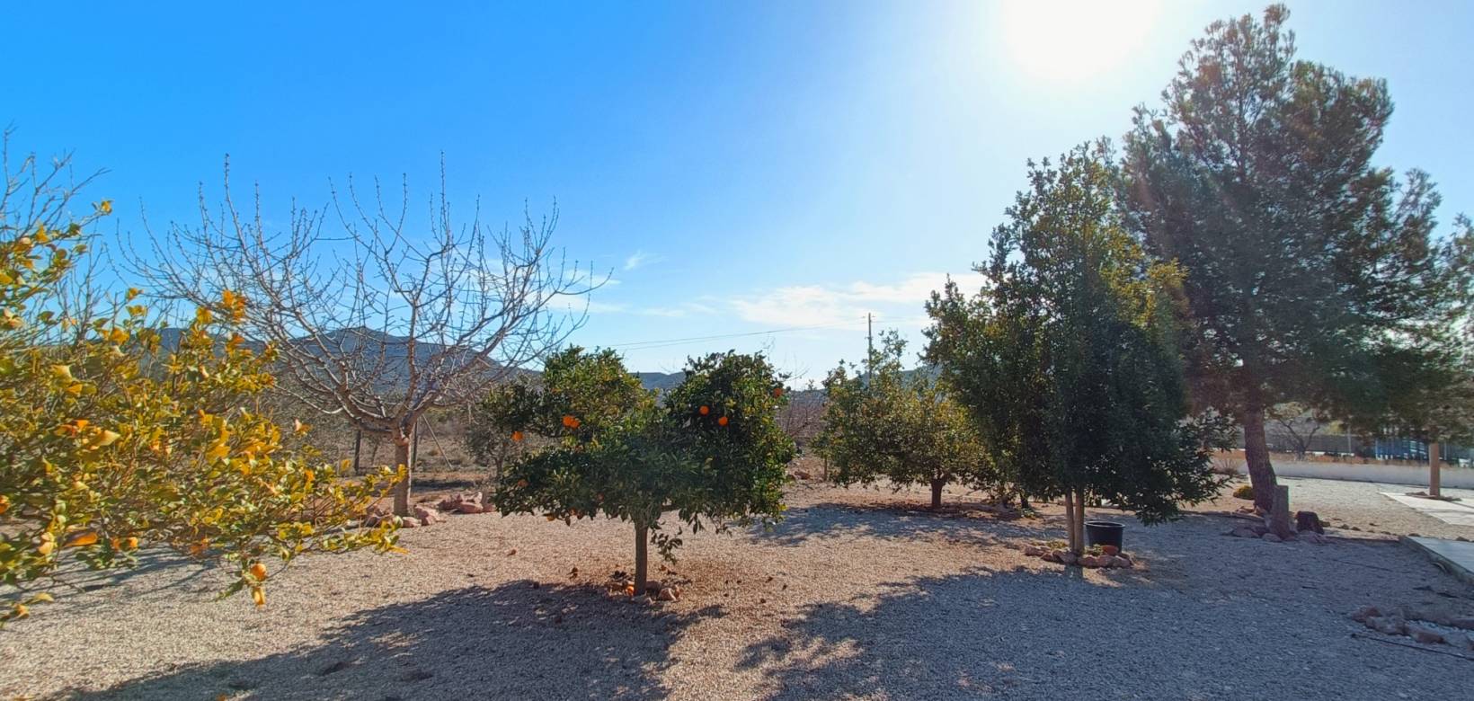 Revente - Villa - Hondón de los Frailes