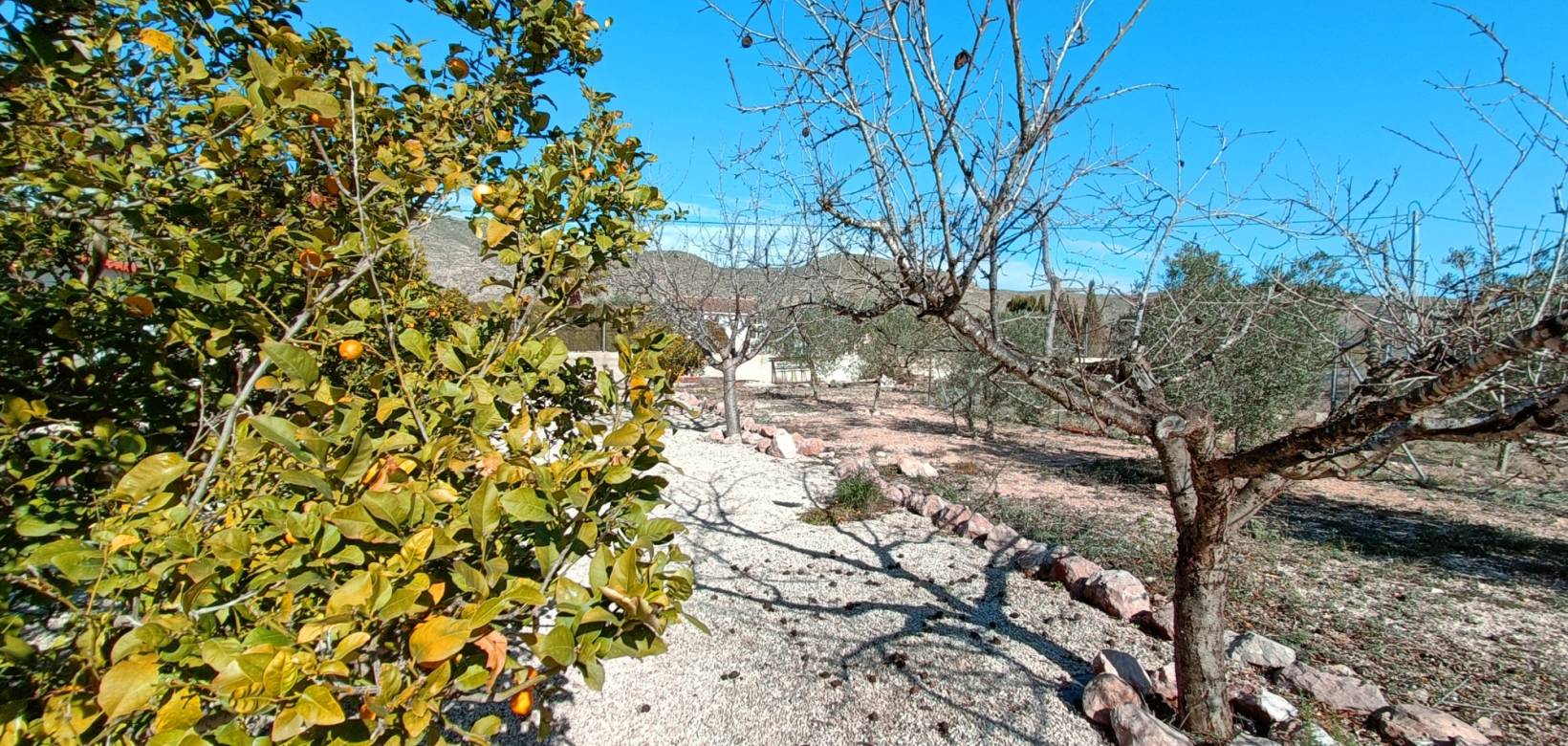 Revente - Villa - Hondón de los Frailes