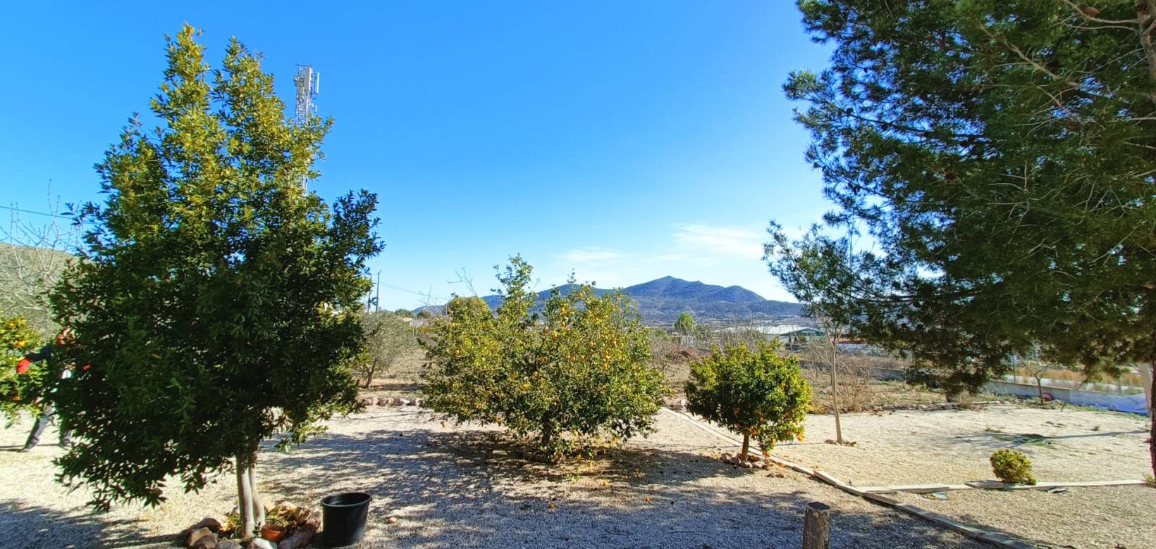 Revente - Villa - Hondón de los Frailes