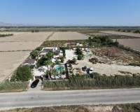 Revente - Villa - La Marina - Elche / Elx