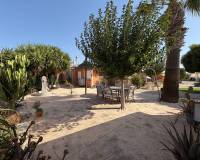 Revente - Villa - La Marina - Elche / Elx