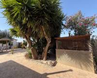 Revente - Villa - La Marina - Elche / Elx