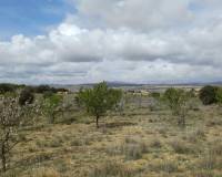 Revente - Villa - La Zarza