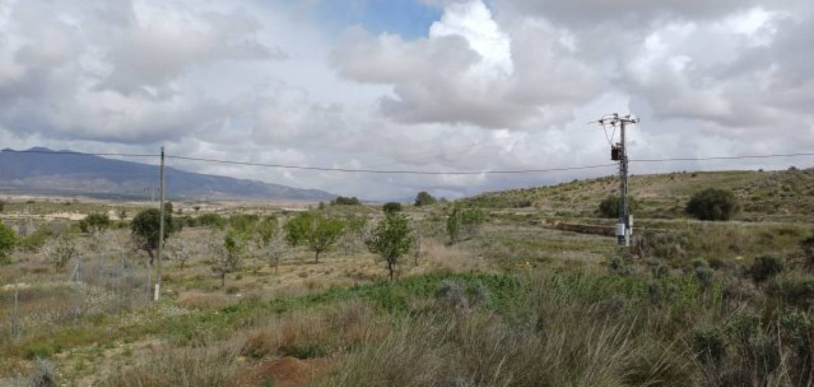 Revente - Villa - La Zarza