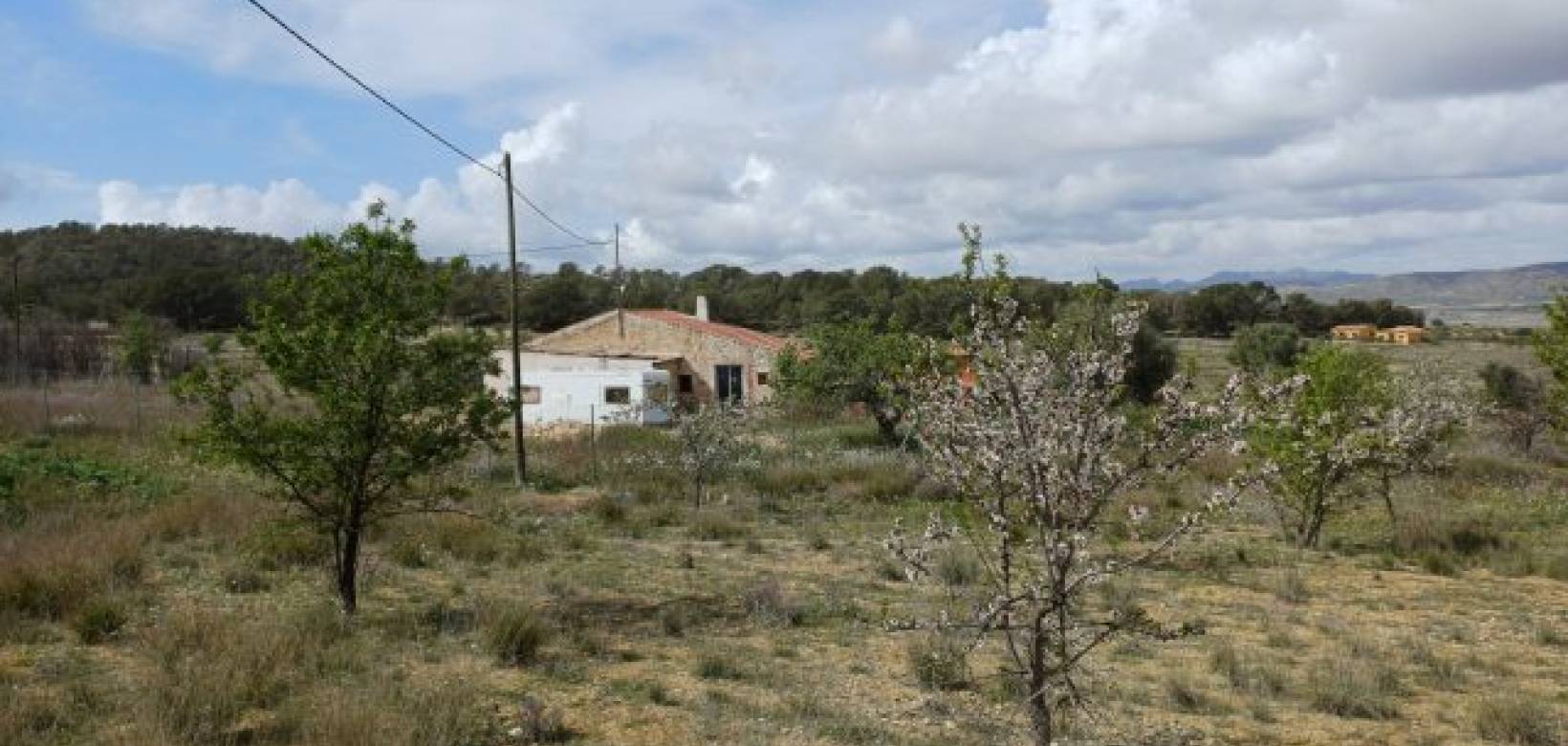 Revente - Villa - La Zarza