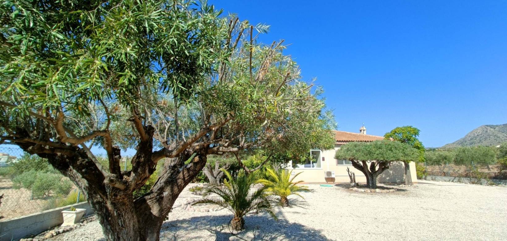 Revente - Villa - Macisvenda