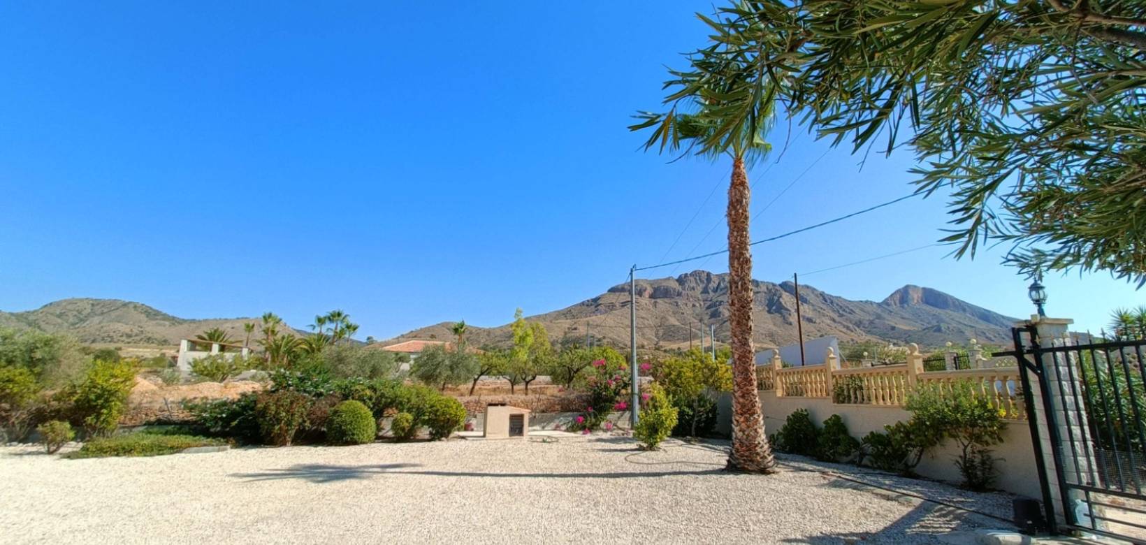 Revente - Villa - Macisvenda