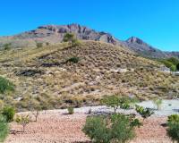 Revente - Villa - Macisvenda