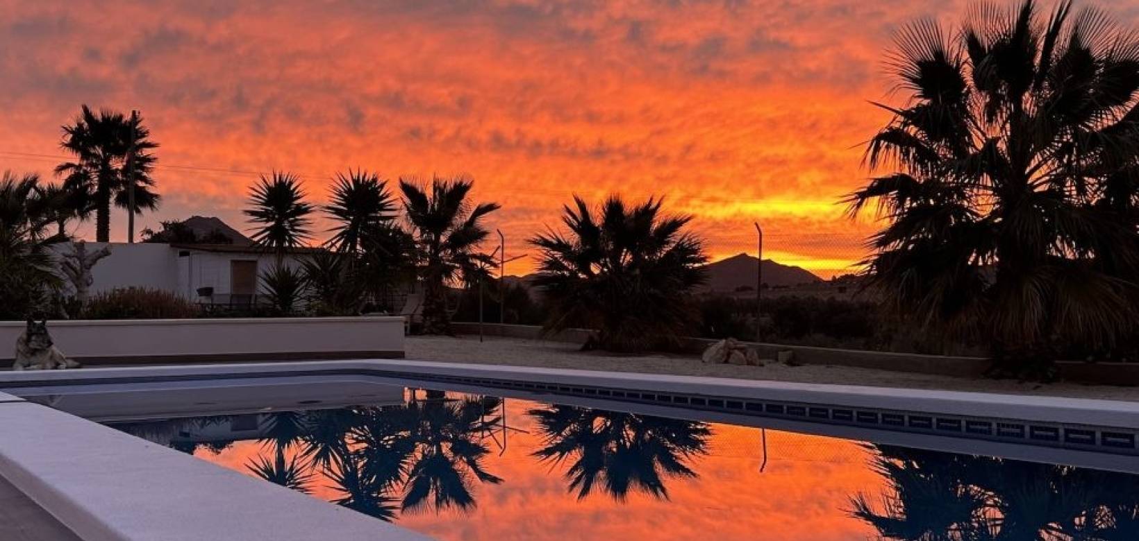 Revente - Villa - Macisvenda