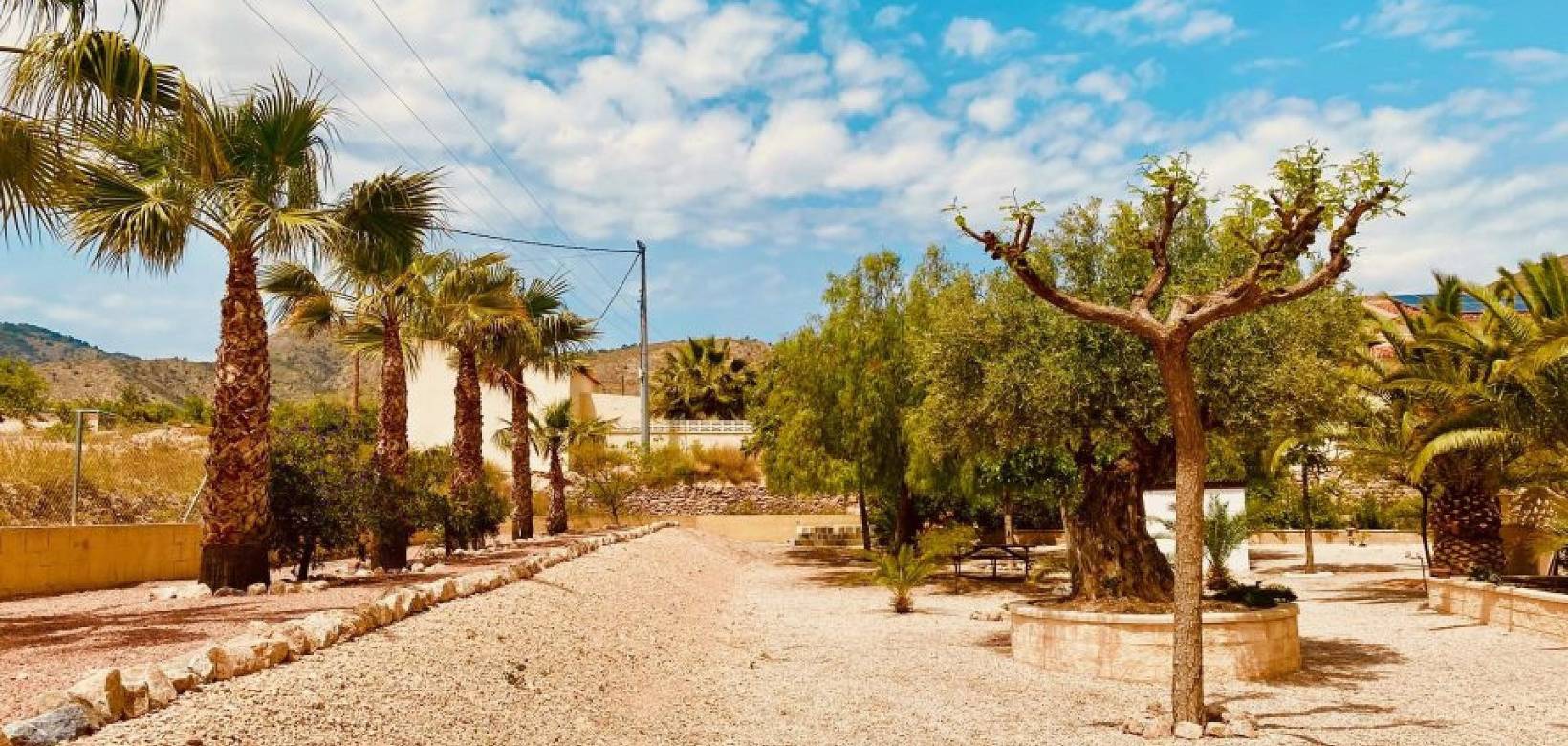 Revente - Villa - Macisvenda