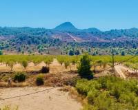 Revente - Villa - Macisvenda
