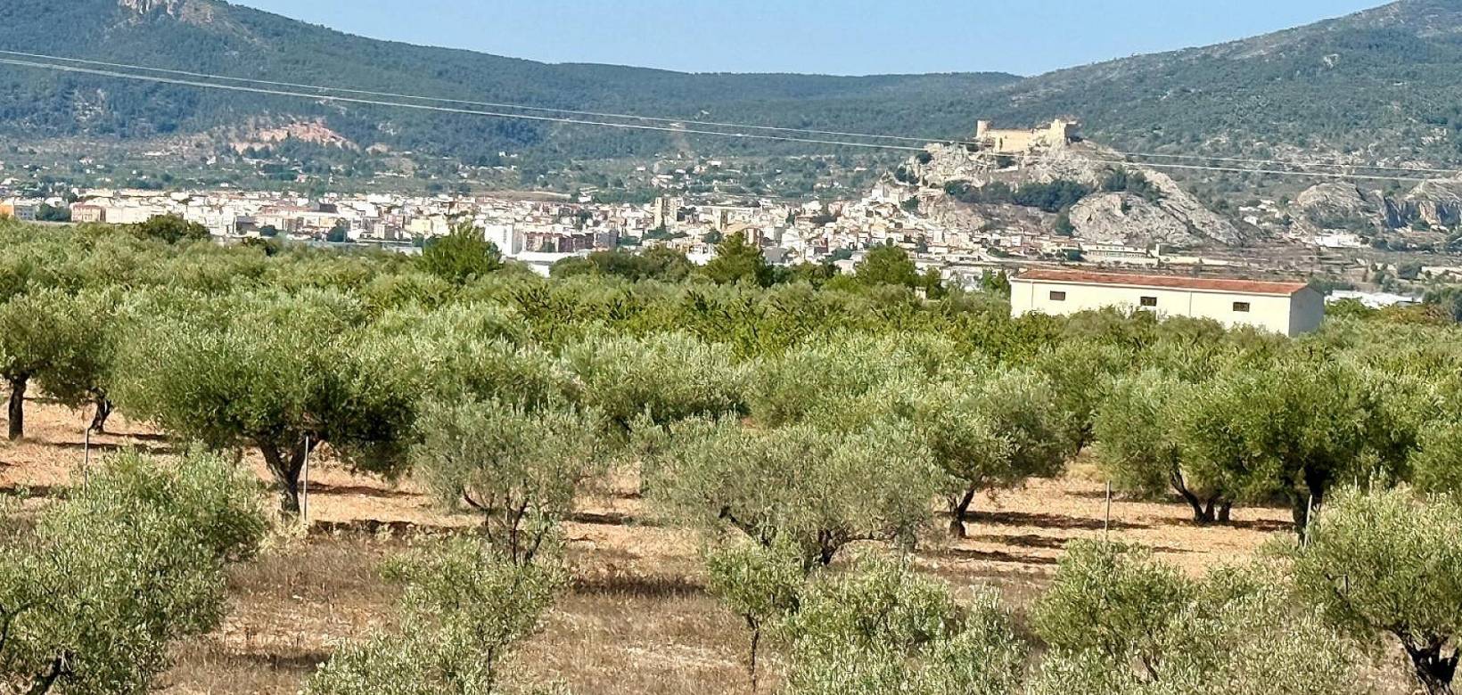 Revente - Villa - Onil