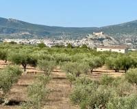 Revente - Villa - Onil