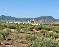 Revente - Villa - Onil