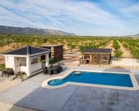 Revente - Villa - Pinoso  - Lel