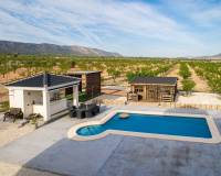 Revente - Villa - Pinoso  - Lel